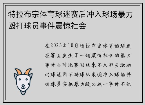 特拉布宗体育球迷赛后冲入球场暴力殴打球员事件震惊社会